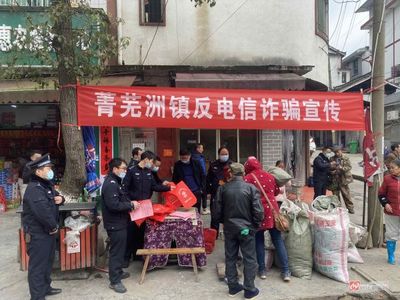 通道菁芜洲镇:&ldquo;微网格&rdquo;推广反诈App,为群众防诈充&ldquo;器&rdquo;助力